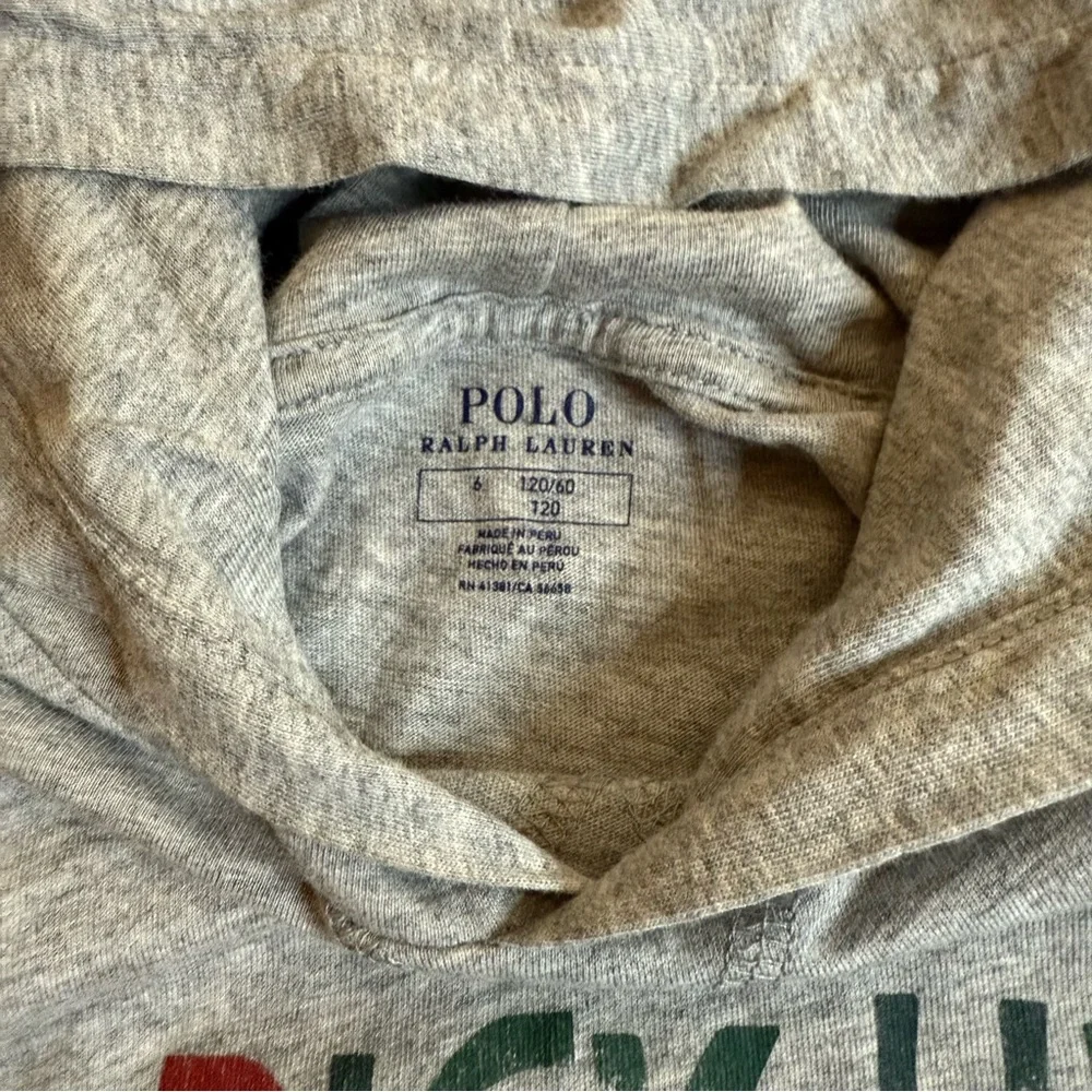 Polo Ralph Lauren Pick Up Truck Holiday Graphic Long Sleeve Gray Hoodie Shirt